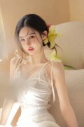 丹东平民图库牛材网