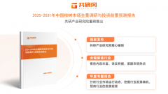 桉树行业市场最新数据阐发：2025年中国桉树种植