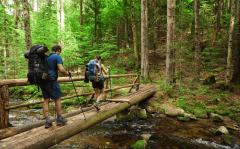 丛林康养度假项目规划要点分解